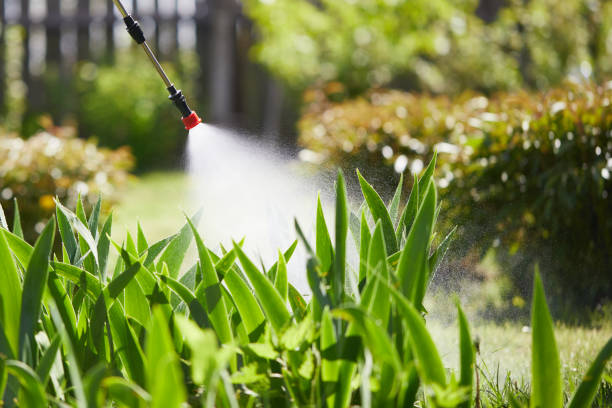 24/7 Emergency Termite Control experts in Oceano, CA